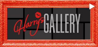 Harry's Bar Newcastle - Gallery
